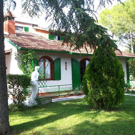 I Pini House Villa Magione Bagian luar foto