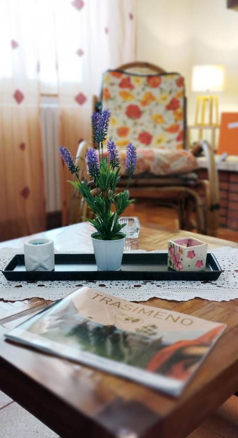 I Pini House Villa Magione Bagian luar foto