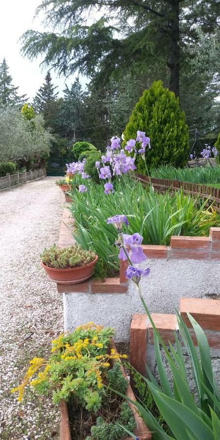 I Pini House Villa Magione Bagian luar foto